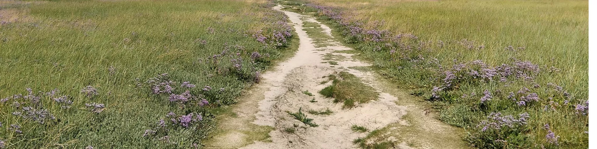 Mentions légales FNE HdF