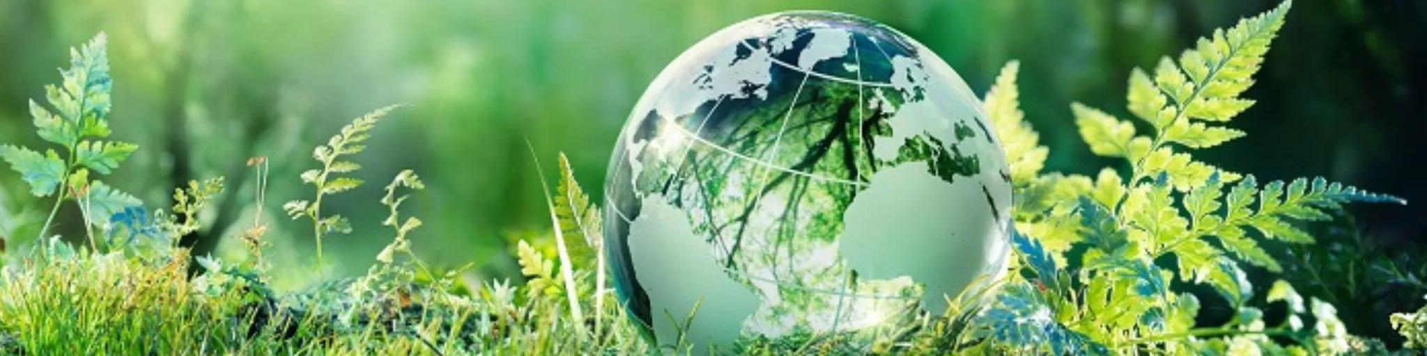 Politique de confidentialité