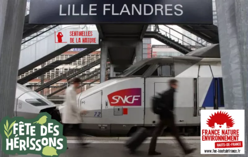 FNE HdF voyage en Nord SNCF